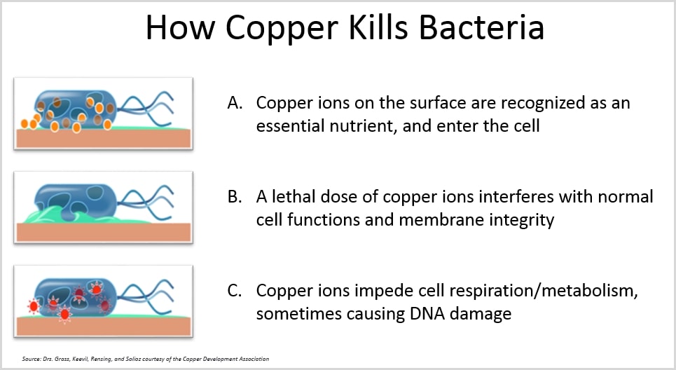 how-copper-kills-bacteria